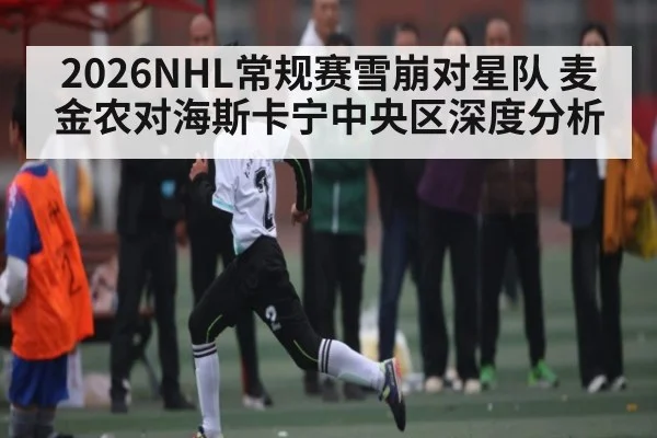 2026NHL常规赛雪崩对星队 麦金农对海斯卡宁中央区深度分析